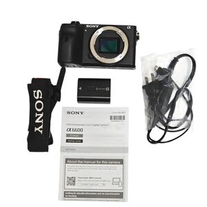 Sony Alpha a6600 APS-C Mirrorless Interchangeable Lens Camera Body